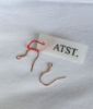 Picture of Rose gold flat print ear hook